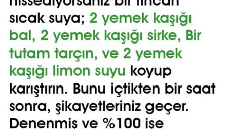 Doğal Reçeteler: Evde Doğal İçecek ve Yemek Tarifleriyle Sağlıklı Beslenme