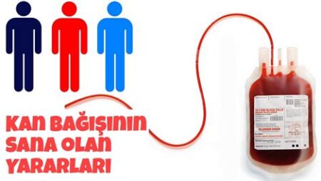 Sağlık İçin Düzenli Kan Bağışının Önemi