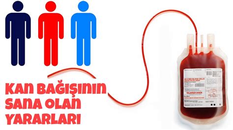 Sağlık İçin Düzenli Kan Bağışının Önemi