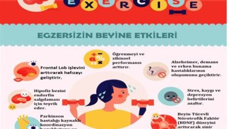 Spor ve Alzheimer Hastalığı: Egzersizin Beyin Sağlığı Üzerindeki Olumlu Etkileri ve Demans Riskini Azaltma Potansiyeli