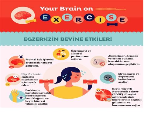 Spor ve Alzheimer Hastalığı: Egzersizin Beyin Sağlığı Üzerindeki Olumlu Etkileri ve Demans Riskini Azaltma Potansiyeli